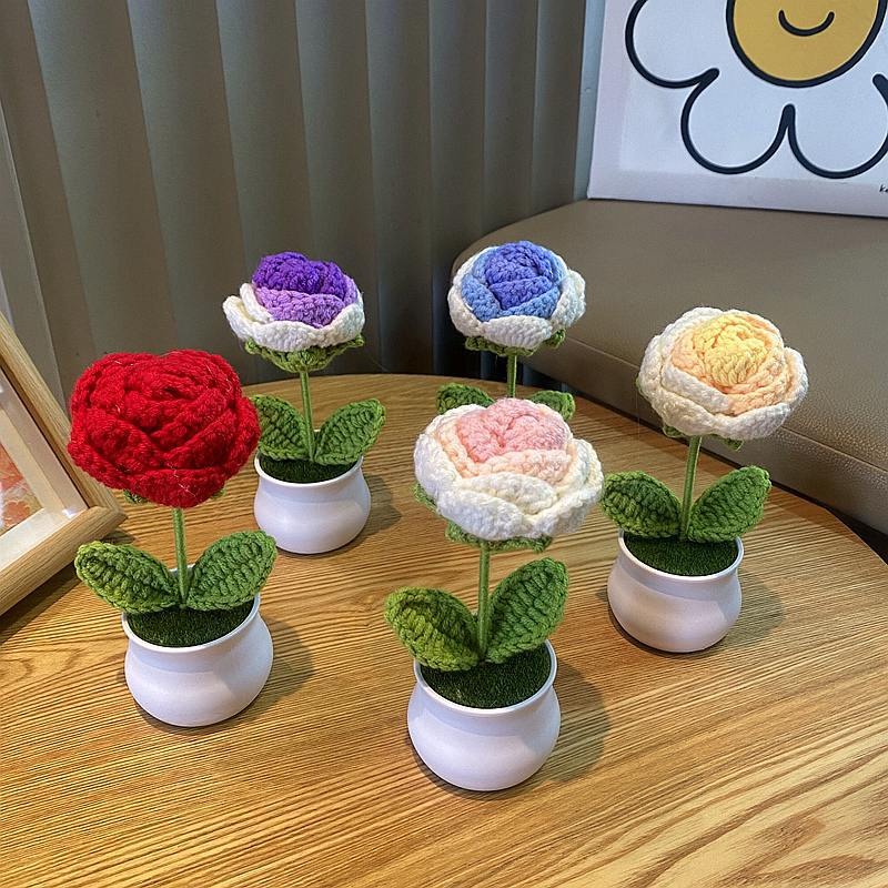 1/2/4Pcs DIY Handwoven Mini Po - Home Office Depot ulasan dan harga