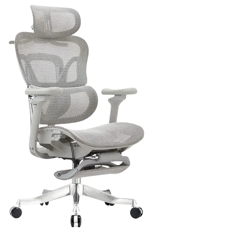 Ergonomic Office Chair for Com - Home Office Chair ulasan dan harga