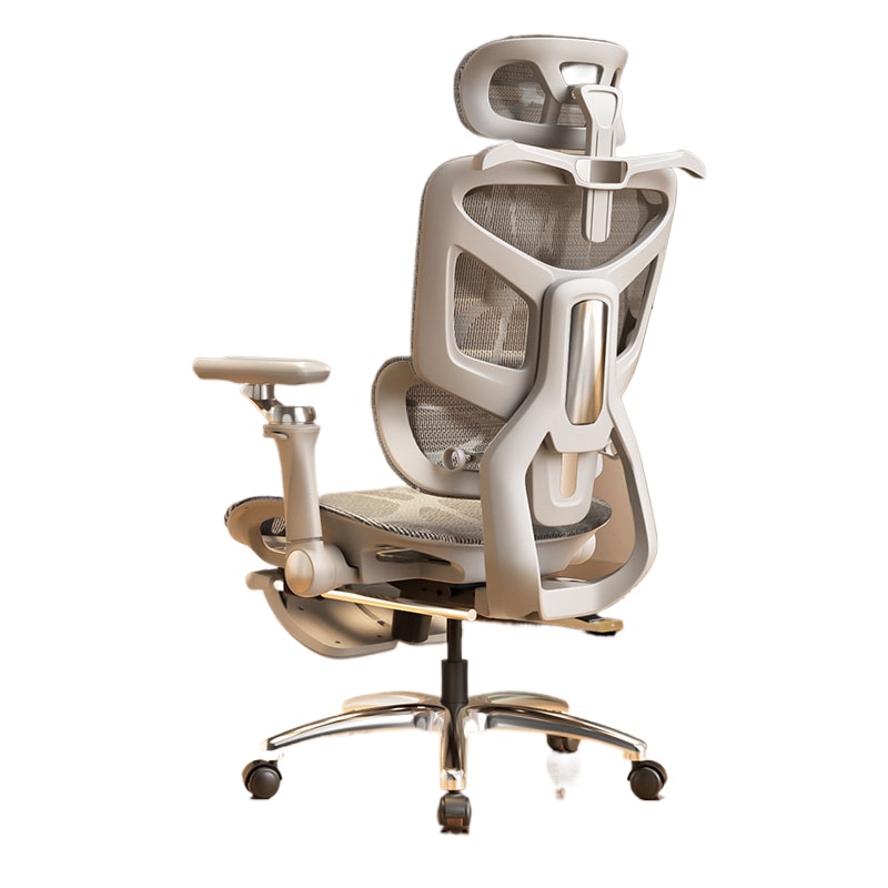 Ergonomic Office Chair for Com - Home Office Chair ulasan dan harga