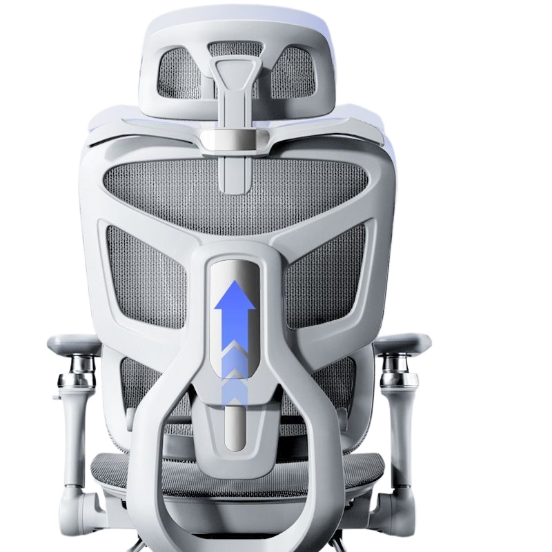 Ergonomic Office Chair for Com - Home Office Chair ulasan dan harga